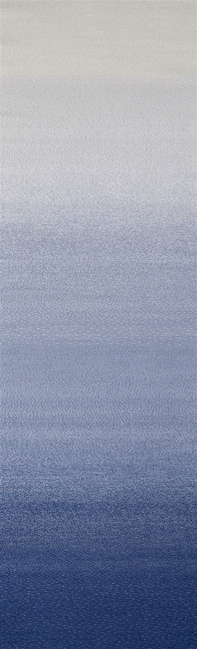 STEEL BLUE